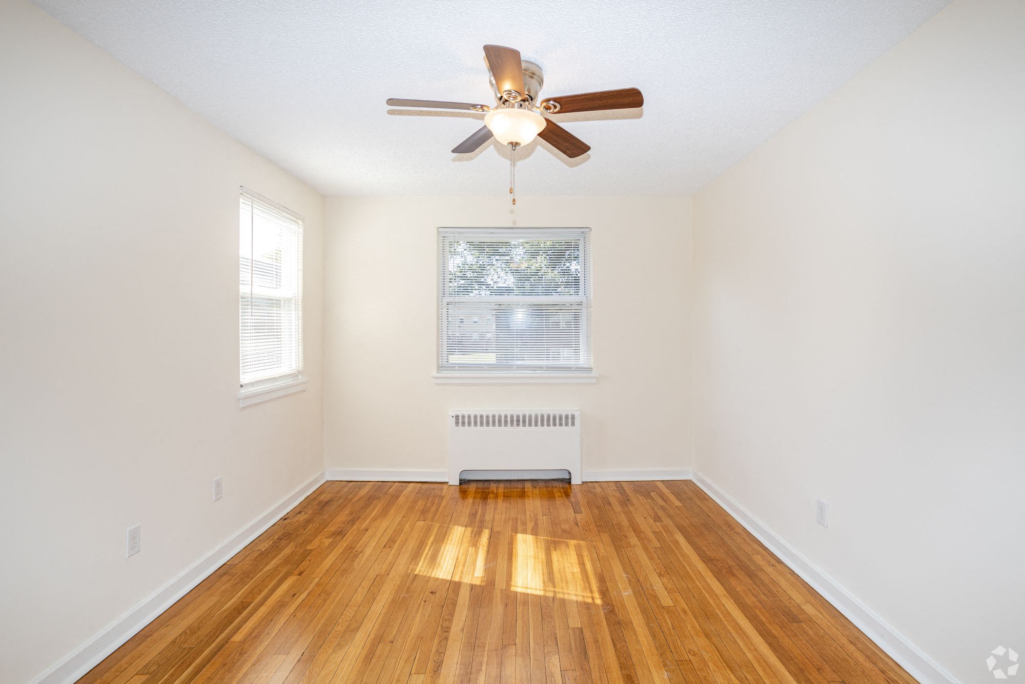 Gallery Photo 5